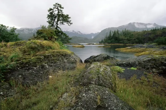 Framed Print : Moss covered rocks at waters edge Framed Print : Moss covered rocks at waters edge