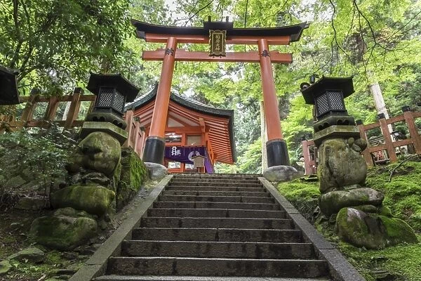 Moss covered Shinto shrine surrounded by thick forest in summer, Fushimi Inari Taisha