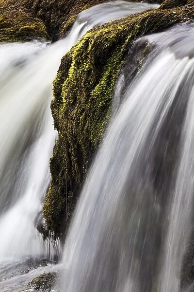 Moss and water at Redmire Force near Swinithwaite in Wensleydale, Yorkshire Dales, Yorkshire, England, United Kingdom, Europe