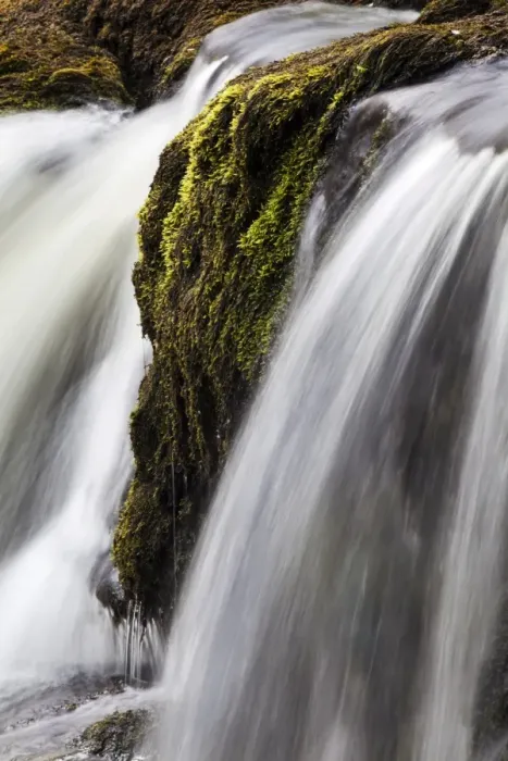 Framed Print : Moss and water at Redmire Force near Swinithwaite in Wensleydale, Yorkshire Dales, Yorkshire, England, United Kingdom, Europe Framed Print : Moss and water at Redmire Force near Swinithwaite in Wensleydale, Yorkshire Dales, Yorkshire, England, United Kingdom, Europe