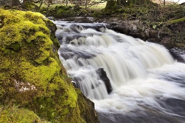 Mossy rock and waterfall on Grisedale Beck near Garsdale Head, Yorkshrie Dales, Cumbria, England, United Kingdom, Europe