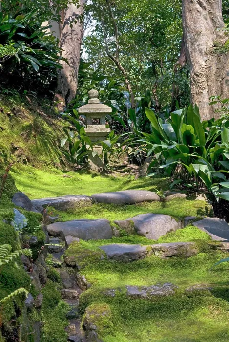 Framed Print : Mossy stone staircase at Honen-in Temple, Sakyo-ku, Kyoto, Japan Framed Print : Mossy stone staircase at Honen-in Temple, Sakyo-ku, Kyoto, Japan