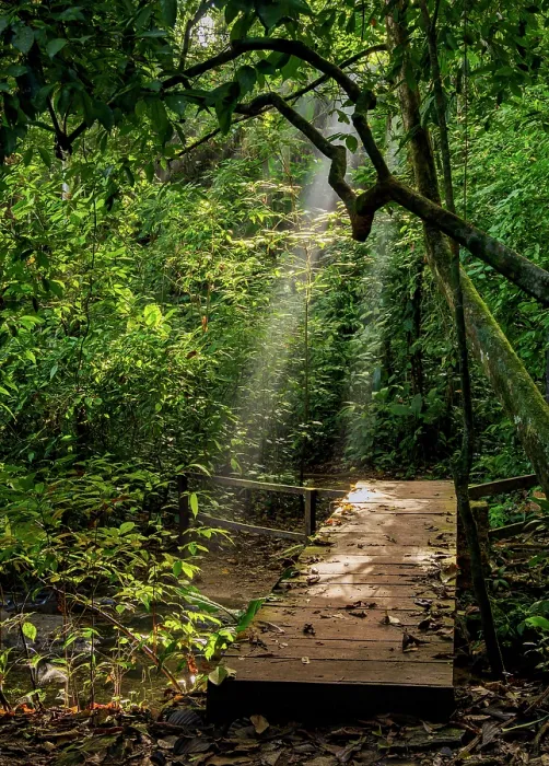 Framed Print : Moteipa Trail, Palenque Archaeological Site, Palenque, Chiapas State, Mexico Framed Print : Moteipa Trail, Palenque Archaeological Site, Palenque, Chiapas State, Mexico