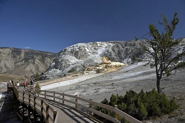 Mound Terrace, Mammoth Hot Springs, Yellowstone National Park, UNESCO World Heritage Site, Wyoming, United States of America, North America
