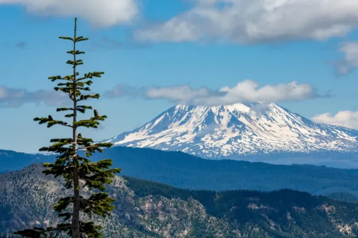 Framed Print : Mount Adams seen from Mount St. Helens, part of the Cascade Range, Pacific Northwest region Framed Print : Mount Adams seen from Mount St. Helens, part of the Cascade Range, Pacific Northwest region