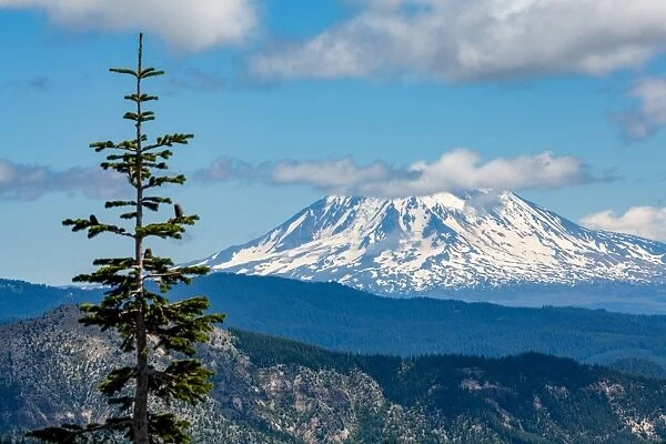 Mount Adams seen from Mount St. Helens, part of the Cascade Range, Pacific Northwest region