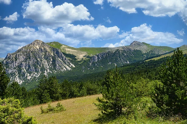 Mount Bove in summer, Sibillini Mountain range, Marche, Italy, Europe