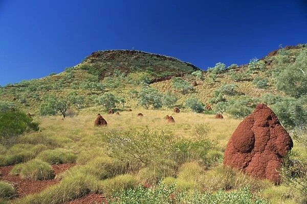 Mount Bruce and termite mounds, Karijini National Park, Pilbara, Western Australia
