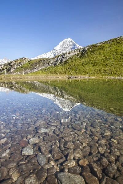 Mount Eiger reflected in a creek, Mannlichen, Grindelwald, Bernese Oberland, Canton of Bern