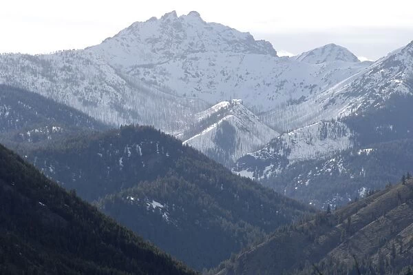 Mount Gardner, Winthrop area, North Cascades Range, Washington State, United States of America