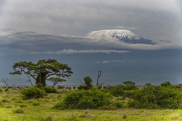 Mount Kilimanjaro, Amboseli National Park, Kenya, East Africa, Africa