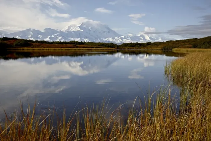 Framed Print : Mount McKinley reflected in a pond, Denali National Park and Preserve, Alaska