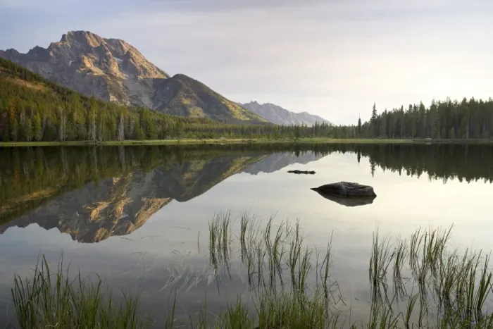 Framed Print : Mount Moran reflected in String Lake Framed Print : Mount Moran reflected in String Lake