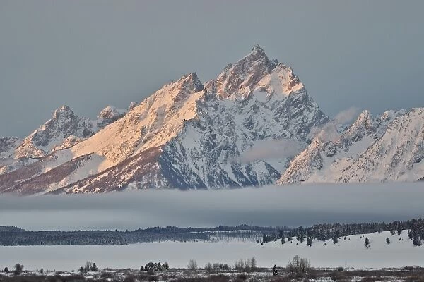 Mount Moran in the winter with snow, Grand Teton National Park, Wyoming, United States of America