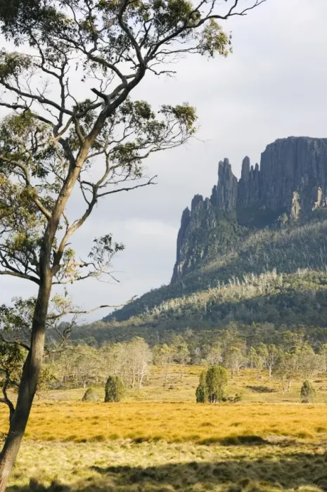 Framed Print : Mount Oakleigh at New Pelion on the Overland Track, Cradle Mountain Lake St Framed Print : Mount Oakleigh at New Pelion on the Overland Track, Cradle Mountain Lake St