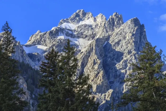 Framed Print : Mount Owen and pines from Cascade Canyon, Grand Teton National Park, Wyoming, United States of America, North America Framed Print : Mount Owen and pines from Cascade Canyon, Grand Teton National Park, Wyoming, United States of America, North America