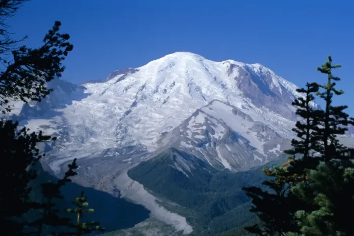 Framed Print : Mount Rainier Framed Print : Mount Rainier