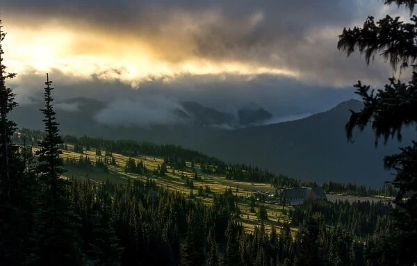 Mount Rainier meadows at sunrise, Cascade Ranges, Washington State, United States of America