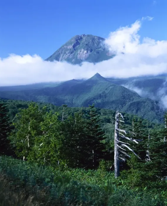 Framed Print : Mount Rauso-dake with low cloud Framed Print : Mount Rauso-dake with low cloud