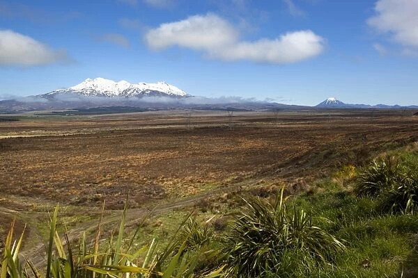 Mount Ruapehu and Mount Ngauruhoe viewed from Highway 1 Desert Road, Tongariro National Park, UNESCO World Heritage Site, North Island, New Zealand, Pacific