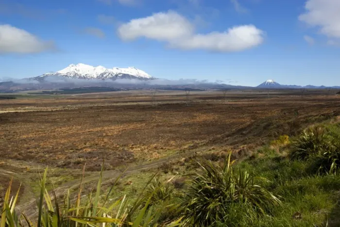 Framed Print : Mount Ruapehu and Mount Ngauruhoe viewed from Highway 1 Desert Road, Tongariro National Park, UNESCO World Heritage Site, North Island, New Zealand, Pacific Framed Print : Mount Ruapehu and Mount Ngauruhoe viewed from Highway 1 Desert Road, Tongariro National Park, UNESCO World Heritage Site, North Island, New Zealand, Pacific