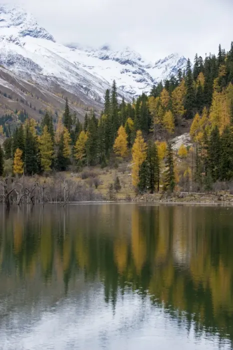 Framed Print : Mount Siguniang, an area of outstanding natural beauty in Sichuan Province, China, Asia Framed Print : Mount Siguniang, an area of outstanding natural beauty in Sichuan Province, China, Asia