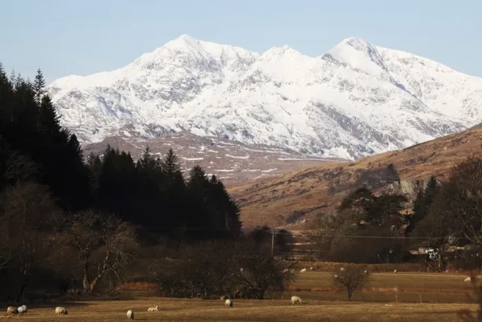 Framed Print : Mount Snowdon capped with snow as Welsh sheep graze on a sunny spring day in Snowdonia National Park, Wales, United Kingdom, Europe Framed Print : Mount Snowdon capped with snow as Welsh sheep graze on a sunny spring day in Snowdonia National Park, Wales, United Kingdom, Europe