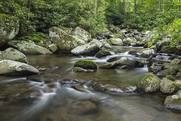 Mountain creek flowing through dense forest woods near the Appalachian Trail, North Carolina