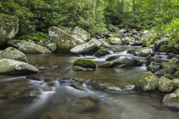 Framed Print : Mountain creek flowing through dense forest woods near the Appalachian Trail, North Carolina Framed Print : Mountain creek flowing through dense forest woods near the Appalachian Trail, North Carolina