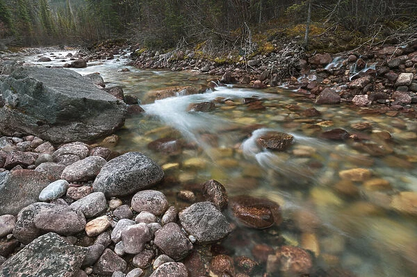 Mountain creek with waterfalls near Maligne Canyon, Athabasca River Basin