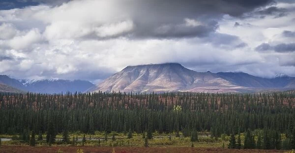 Mountain and forest landscape in Denali National Park, Alaska, United States of America