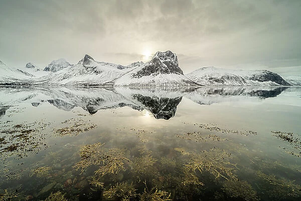 Mountain reflections in fjord, Senja, Troms og Finnmark, Norway, Scandinavia, Europe