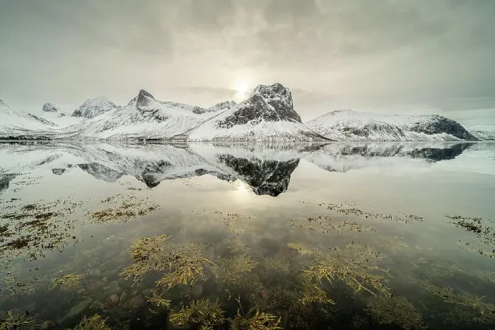Framed Print : Mountain reflections in fjord, Senja, Troms og Finnmark, Norway, Scandinavia, Europe Framed Print : Mountain reflections in fjord, Senja, Troms og Finnmark, Norway, Scandinavia, Europe