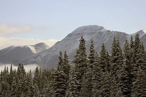 Mountains and evergreens with snow