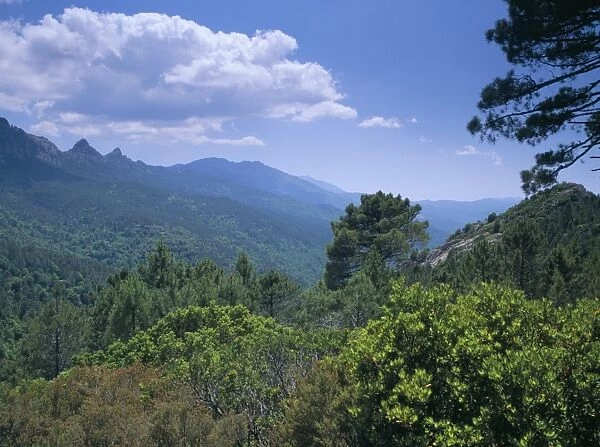 Mountains, island of Corsica, France, Europe