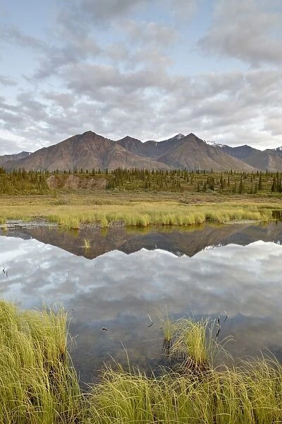 Mountains reflected in a pond along the Denali Highway, Alaska, United States of America