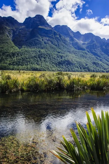Framed Print : Mountains reflecting in the Mirror Lakes, Eglinton Valley, South Island, New Zealand, Pacific Framed Print : Mountains reflecting in the Mirror Lakes, Eglinton Valley, South Island, New Zealand, Pacific