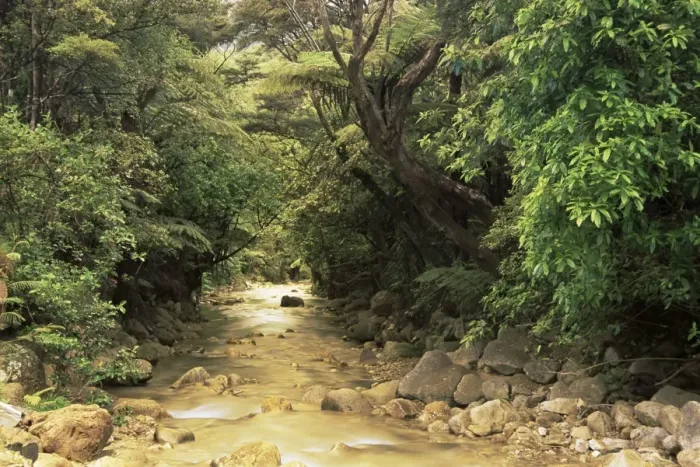 Framed Print : Mountains stream Framed Print : Mountains stream