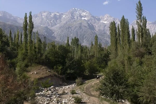 Mountains with walnut trees, Arslanbob, Kyrgyzstan, Central Asia