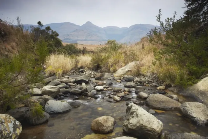 Framed Print : Mpofane River, Monks Cowl Nature Reserve, Ukhahlamba-Drakensberg Park Framed Print : Mpofane River, Monks Cowl Nature Reserve, Ukhahlamba-Drakensberg Park