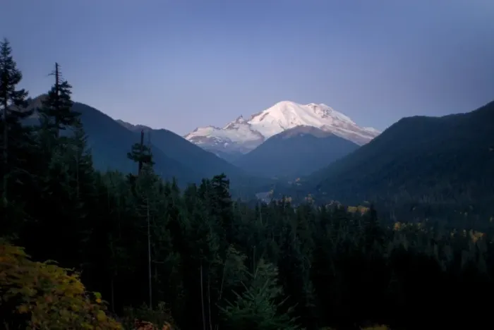 Framed Print : Mt. Rainier at dawn Framed Print : Mt. Rainier at dawn