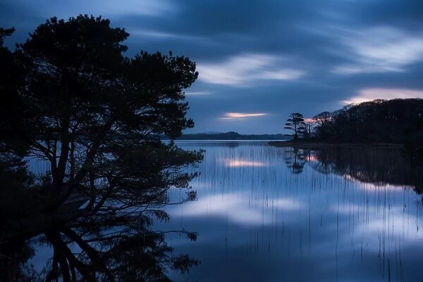 Muckross Lake at dawn, Lakes of Killarney, Killarney National Park, County Kerry