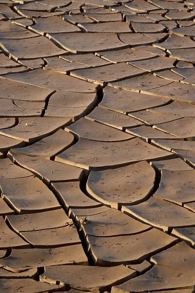 Mud cracks, Kruger National Park, South Africa, Africa