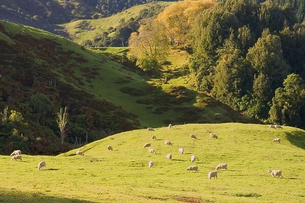 Mudstone Hill Farmland