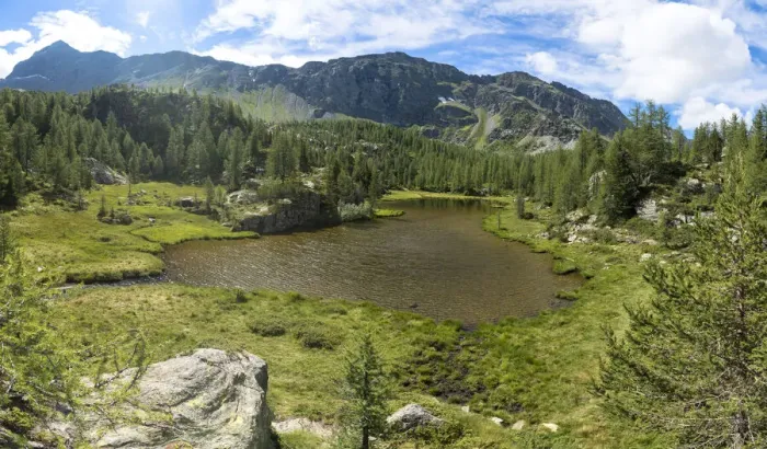 Framed Print : Mufule lake framed by green forest and mountains in summer, Valmalenco, Valtellina Framed Print : Mufule lake framed by green forest and mountains in summer, Valmalenco, Valtellina