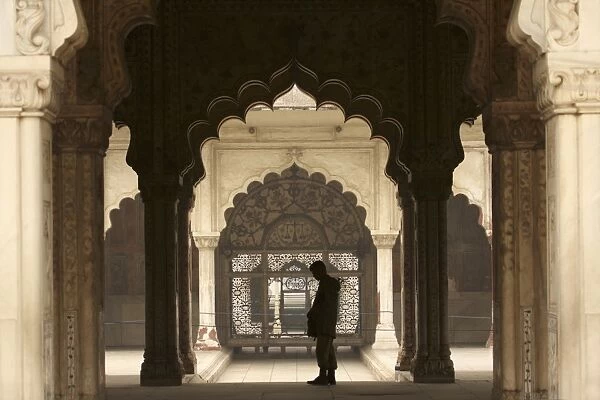 Mughal architecture, Delhi, India, Asia