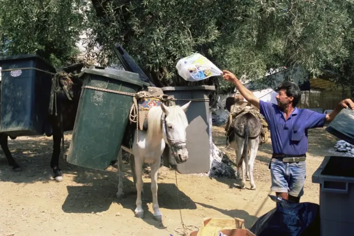Framed Print : Mule used for collecting rubbish Framed Print : Mule used for collecting rubbish