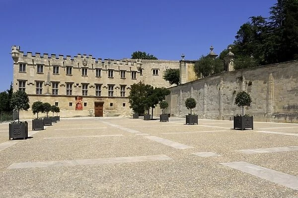 Musee du Petit Palais (Museum), Avignon, Provence, France, Europe
