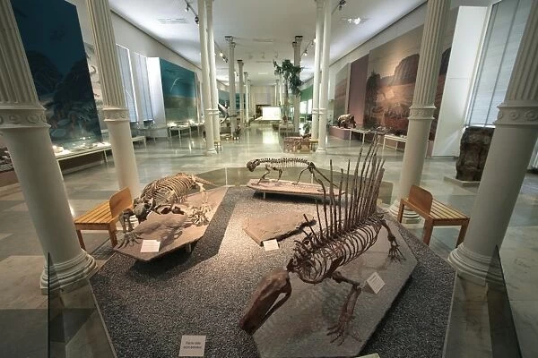 Museum of Natural Science, Karlsruhe, Baden-Wurttemberg, Germany, Europe