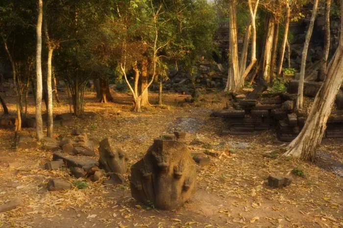 Framed Print : Naga serpent at the Beng Mealea Temple, Siem Reap, Cambodia, Indochina Framed Print : Naga serpent at the Beng Mealea Temple, Siem Reap, Cambodia, Indochina